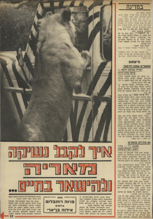 העולם הזה - גליון 1914 - 8 במאי 1974 - עמוד 33 | במדינה (המשך מעמוד )29 את המיצרים, והוא העריך אותם נכונה. ראש המודיעין נאנח ואמר לעוזריו : ״לו רק יכלו המיצרים לנתח בהגיון קר, וללא דימיון כוזב, את המצב לאמיתו