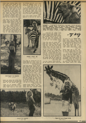העולם הזה - גליון 1915 - 15 במאי 1974 - עמוד 6 | חתיכה רצינית. הוא ביקש מהחולייה לחתום על הצהרה שהסאפארי אינו אחראי אם יקרו אסונות, אולם יחד עם זאת הבטיח להגיש את מלוא העזרה. אחד העובדים המעולים ביותר בגן,