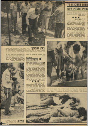 העולם הזה - גליון 1926 - 31 ביולי 1974 - עמוד 19 | סות מהממגית נד וביל שהוביל ליעז ל, ו חיינו צריכים להתאמן, כדי להתכונן ל־ !מילחמה, ובמקום זה אנחנו !מתע&קים בשטויות שלכם.״ יום ה׳ ,שעה בקרב המתנחלים פורחות