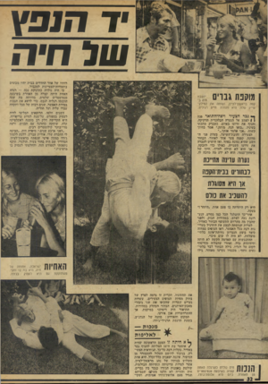 העולם הזה - גליון 1930 - 28 באוגוסט 1974 - עמוד 32 | •ד 3171ץ טו בחי71 רותיו של אחד החדרים בבית יהיו מכוסים בתעודות־הצטיינות למכביר. יכי חיה נולדה כתינוקת נכה — רגלה האחת היתה קצרה מן האחרת בשיבעה סנטימטרים
