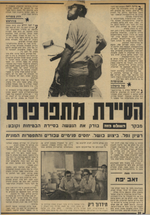 העולם הזה - גליון 1933 - 15 בספטמבר 1974 - עמוד 50 | ד,סיירת ככוח־עזר למישטרה, שתפקידו לפקח על התנועה. אך למעשה, הסיירים אינם מורגשים כלל בשטח. ג׳ונגל התנו עה גואה, ונסיעה ברחובות העיר הגדולה בישראל הפכה לסיוט.