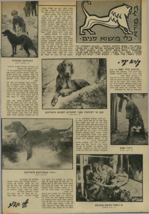 העולם הזה - גליון 1938 - 23 באוקטובר 1974 - עמוד 6 | הזה״ ,שבועון החדשות הישראלי. המערכת והמינהלה: תל• אבייב. רחוב גורדון ,3טלפון 243386־ .03 תא־דואר • 136 מען מכרקי : ״עולמפרם״ .מודפס ב״דפוס החדש״ כע״מ, תל־אכיב,