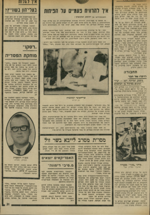 העולם הזה - גליון 1942 - 20 בנובמבר 1974 - עמוד 31 | (המשך מעמוד )29 גוד מפורש לדעתי, להוציא מהלכסיקון את כל נציגי הסיפרות העברית הצעירה בדור שלאהר דור הפלמ״ח.״ כך קרה ששמותיהם של סופרים ומשוררים חשו בים׳ אשר