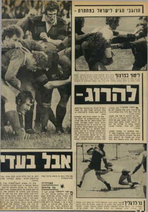 העולם הזה - גליון 1962 - 9 באפריל 1975 - עמוד 20 | הרוגבי הגיע לישראל במחתות ־ ליטוף בפרצוף שחקן רוגבי מקבוצת חולון, ששלושה משחקני קבוצת אוניברסיטת תל־אביב מנסים להוציא מידו את הכדור, מגן על עצמו תוך הצמדת