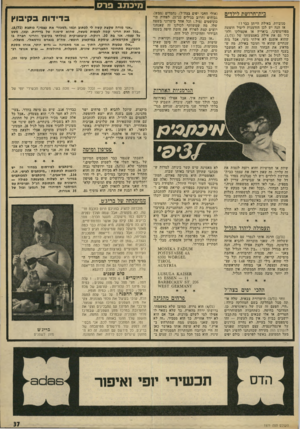 העולם הזה - גליון 1971 - 11 ביוני 1975 - עמוד 37 | מיכתב פרס בית־חרושת לילדים סנוביות, באילת הייתן כבר?! אז הנה יש לכן הזדמנות ליטול חופשה מפורטופינו, ביאריץ או אקפולקו ולהכיר גם את אילת באמצעותו של (,)1/71