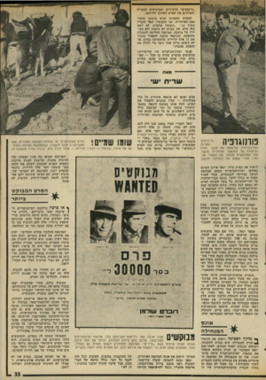 העולם הזה - גליון 1982 - 27 באוגוסט 1975 - עמוד 36 | ״גרעפצים״ הרציניים שמרביצים החבר׳ה והמלווים את הסרט לאורכו ולרוחבו. למחרת ההקרנה הגיע מיכתב מהמו עצה האיזורית, ובו התבשרו יגאל וחבריו בערך כ ך :״תשכחו מהסרט,