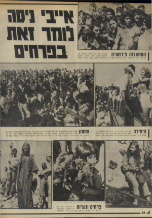 העולם הזה - גליון 1985 - 17 בספטמבר 1975 - עמוד 24 | הסתערות פירחונית ב • 30*1 החד ואח בפרחים צעירים עם זרי־פרחים בידיהם מצ טופפים סביב אייבי. אייבי, שחשש פן לא ייענו לקריאתו, רכש פרחים ב־ 600ל״י, שחולקו לאלה