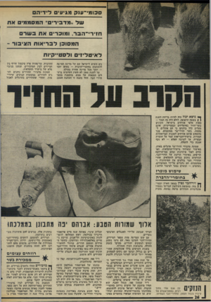 העולם הזה - גליון 1985 - 17 בספטמבר 1975 - עמוד 26 | סכומי־ענק מגיע לידיה של !.מדבירי״ המסממיס אח חזירי־הבר, ומוברים אס בשד המסובן לבריאות הציבור - לאיטליזים ולסט״קיוח נים הוציא לישראל שם של מדינה המרבה להשתמש