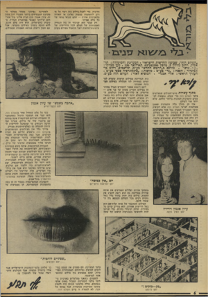 העולם הזה - גליון 1986 - 24 בספטמבר 1975 - עמוד 6 | חדשות. כדי לקבל צילום כזד. רצוי על פי רוב להשתמש במבזק (פלש) או תאורה מלאכותית אחרת — שהם שנואי נפשו של כל צלם אמיתי. רק טבעי הוא שניגוד זד, בין הנטייה