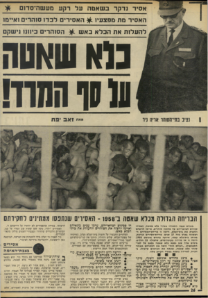 העולם הזה - גליון 1989 - 15 באוקטובר 1975 - עמוד 26 | אסיד נדקר בשאטה על רקע מע שה־סדום האסיר מת מפצעיו ^ האסירים לבד! סוהרים ו א״ מ1 ל העלו ת את הכל אבאש ^ הסוהרים כיוונו נישקם נציב בת״הסוהו אריה ניד כלא שאטה 10