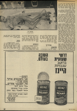 העולם הזה - גליון 1989 - 15 באוקטובר 1975 - עמוד 37 | היא ;מצליחה להניא את הבעל הסוטה לט עום׳ פעם אחת גילבד מן הפרי הטעים ישל חמין הנגדי, זאת אחרי סצינת יאוש בה היא מאיימת להשליך את עצמה אל ד,סיינה, ולבסוף מסתפקת