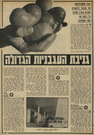 העולם הזה - גליון 1996 - 3 בדצמבר 1975 - עמוד 37 | עוברי מחסן ה*וקות שר..ת1ונה״ נ*חשרי0 הווציאו ת הדי ו מחוכם נוי ר&נוב את > שם מה, ככלל, קיימת המישטרה1 /שאלה זו שאל את עצמו בנימין1שני, סגן המנהל־הנללי של