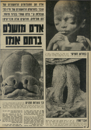 העולם הזה - גליון 1997 - 10 בדצמבר 1975 - עמוד 42 | ארה הם החצוומיס הראשונים שד עובו בחודשים הראשונים שד ודיו 33 שצ ורמו ע״׳ צום שוודי בציוד מיוחד. הם מוכיחים: חודשים ארה מכריעי! *ח־סששו נדחס אמו בחודש השישי