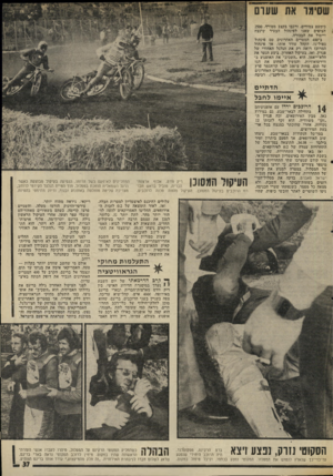 העולם הזה - גליון 2013 - 30 במרץ 1976 - עמוד 37 | שסי תו את שערם כימעט צמודים, ורכבו בקצב מטורף 2500 . הצופים שאגו לפינהול הצעיר שינצח וייטול את הבכורה. ב־ 400 המטרים האחרונים טס פינהול בפול־גז. הקהל עודד