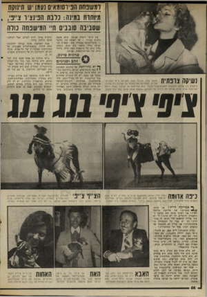 העולם הזה - גליון 2015 - 13 באפריל 1976 - עמוד 44 | דסשיפחת הפיוסומאיס נעמו יש תינוקת תיוחות במינה: נדבת חפינציד צ״ני, שסביבה סובבים ה״ המישפחה נולה את צ׳יפי קיבלה אביבה- ,שלא אהבה כלבים מעודה — עד לאותה עת,