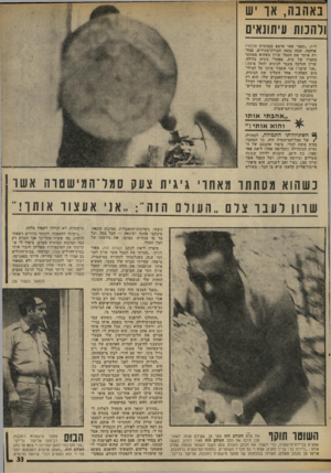 העולם הזה - גליון 2020 - 19 במאי 1976 - עמוד 33 | באהבה, אוש ולחנות 1!/שנאים דית ,״תפס״ סטר טרמפ במכונית סובאוו אדומד״ שבד, נסעד! חבורת־צעירים. במדד רה איתר את הסמל שרון כשהוא מסתתר בחצרו של בית, מאחרי גיגית