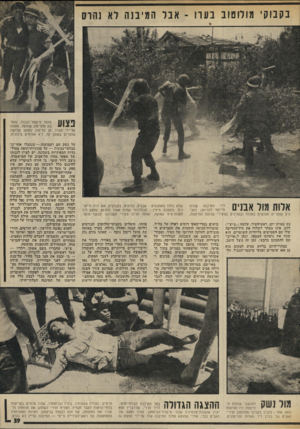 העולם הזה - גליון 2021 - 26 במאי 1976 - עמוד 43 | בקבוקי מולו טוב בערו ־ אבל המי בנה לא נהרס שוטר מישמר־הגבול, שנפ־ו ^ ^ 1 / 1צע מהרימון שהוטל, מפונה על־ידי חברו. מן הרימון נפצעו שלושה שוטרים באופן קל, ו־