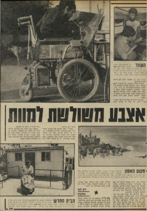 העולם הזה - גליון 2033 - 18 באוגוסט 1976 - עמוד 39 | דני חג׳יחא, צעיר ערבי העובד בעוסד רמת אסא ליד תל השומר זה שנים .״אני החבר ה טוב ביותר של מירה׳לה, עוזר.לה לאכול, לשתות ולצייר, מסיע אותה על כיסא־הגלגלים ואוהב