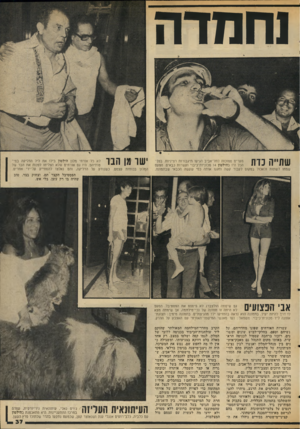 העולם הזה - גליון 2036 - 8 בספטמבר 1976 - עמוד 41 | נחמדה שתייה כדת מערים סמוכות לתל־אביב הגיעו תיגבורות רציניות. בס1־ הכל היו בהילטון 14 מכוניות־כיבוי ועשרות כבאים. הפעם שמחו לשתות ולאכול במקום לעבוד קשה וחגגו