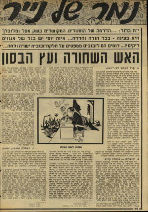 העולם הזה - גליון 2045 - 10 בנובמבר 1976 - עמוד 46 | ״יזו ברנד הדרמה של החתולים המקושרים בשק אפל ומלוכלך היא בעינה -בכל הודה והדרה ...איזה יופי יש בו.ל של אגוזים ריקים דומים הם לזבובים מטפסים על חלקת־זבובית ישרה