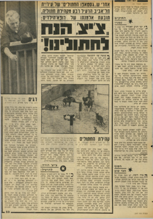 העולם הזה - גליון 2047 - 26 בנובמבר 1976 - עמוד 33 | ה בי או ר (המשך מעמוד )31 עותומנית שנטלה על עצמה לשקם אסירים ׳משוחררים, לסגור עבורם תיקים במי׳ש- טרה, למצוא להם מקומות־עפודה ולעזור להם עד שיש וקמו סופית. ה תי