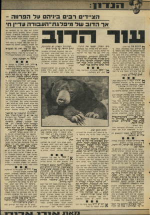 העולם הזה - גליון 2049 - 8 בדצמבר 1976 - עמוד 11 | הוג״דים רבי ביניהם על הפרווה - אך הדוב של מיפלגת־העבידה עדיין ח׳ ף} חלקים את עור הדוב. )4הציידים כבר מתמוגגים מנחת ב־מסיבת־הניצחון. כל אחד מהם מתפאר בחלקו