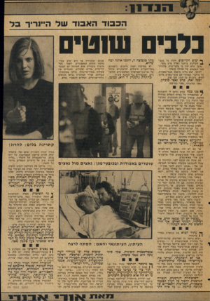העולם הזה - גליון 2052 - 29 בדצמבר 1976 - עמוד 13 | כלבים ושטי ף* יגזים הקרובים יוקרן על, מסכי^ הקולנוע יברחבי הארץ סרט גאצי. מובן שלא יהיו בו צלבי־קרם, פלוגו תסער ונאומים של אדולף היטלר. להיפך. הוא גדוש סיסמת
