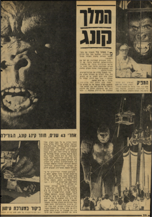 העולם הזה - גליון 2054 - 12 בינואר 1977 - עמוד 26 | קונג לבד, אחרי שראה את תמונתו מהגיר־סה הקולנועית הראשונה, מודבקת מעל מיטת בתו. הבובה (למטה) ,גובהה 16 מטר. ** ה מפוגל עוד להפחיד את צופי־הקולנוע, שהתנסו כבר