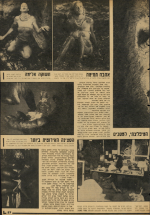 העולם הזה - גליון 2054 - 12 בינואר 1977 - עמוד 27 | אהבה תמימה אוהב הגורילה את הבלרינה דקת־הגיז־רה. ג׳סיקה לאנג, עברה במהלך ההסרטה תלאות שהיו, לדבריה, מרתיעים כל נערה מיחסי־מין עם זכר כלשהו. המיפלצתי, למסכים