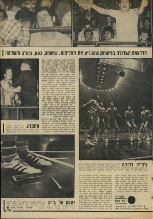 העולם הזה - גליון 2064 - 23 במרץ 1977 - עמוד 37 | וכדורסלן במכבי תל־אביב שעולה היום לשחק, אין לו בעיות שאפשר למצוא אצל כדורסלנים אחרים בקבוצות שוניות. ה הנהלה מביאה את הכדורסלן לידי כך שבשעת המישחק, כל מה