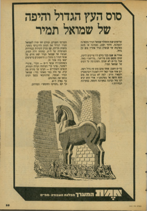 העולם הזה - גליון 2065 - 30 במרץ 1977 - עמוד 55 | סוס העץ הגדול והיפה של שמואל תמיר שלושים שנה התהלך שמואל תמיר ממפלגה למפלגה, הלוך ושוב( ,שמונה או תשע מפלגות עד• עכשיו) וגרר אחריו סוס עץ גדול. אחרי 30 שגה כבר