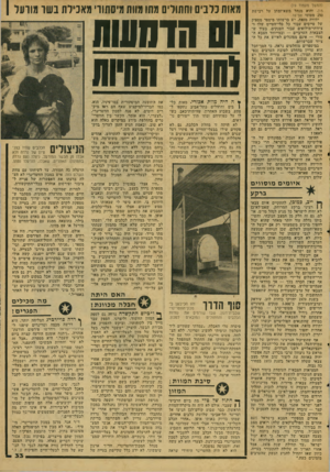 העולם הזה - גליון 2066 - 6 באפריל 1977 - עמוד 33 | (המשך מעמוד )19 ,)15 והוא מנהל משא־ומתן על רכישת 250 מטוסי אפ־.16 יתירה מזאת, יש ברשותו מיספר מספיק של טייסים עבור כל כלי־הטייס שלו ו־ציוותי-מילואים עבור