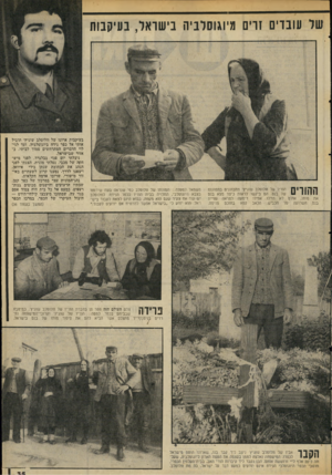 העולם הזה - גליון 2069 - 27 באפריל 1977 - עמוד 35 | של עובדים זרים מיוגוסלביה בישראל, בעיקבות הוריו של וולוסלב שוגיץ׳ מתבוננים בתמונות של בנם. הם ביקשו לראות כיצד מצא בנס את מותו, אולם לא הזילו אפילו דימעה למראה