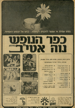 העולם הזה - גליון 2075 - 8 ביוני 1977 - עמוד 39 | נופש אמיתי אי אפשר להבנ כפר המפוט טה א טי ם חיי ם יפים, אהבה, אביב בלב, אויר פסגות, מנו ח ה, בילוי ובידור מ ס סי מי ם• * הנוף היפה בארץ * אויר פ סגו ת צלול