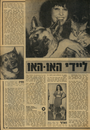 העולם הזה - גליון 2080 - 13 ביולי 1977 - עמוד 51 | מספרת מרה :״הוא התאקלם כאן היטב, והבנתי שיש בישראל מקום לכלבי אלק־הונד. בשנה שעברה קניתי מחוות־גידול ידועה באוהיו את אלופת י-שראל, נורמרק טי־אנד־טי פרומיסס