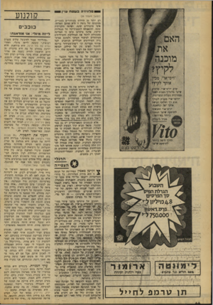 העולם הזה - גליון 2086 - 24 באוגוסט 1977 - עמוד 44 | ט לוויזי הבשטח עו ״ן — 6י (המשך מעמוד )39 רב יותר !מן הדרוש בשידורים בעברית. ׳מסקנתה ושל גושה זו היא פמובן הפרדה, !אופי מושדרים שונה! ,תפיסה תוכניתית ישונה,