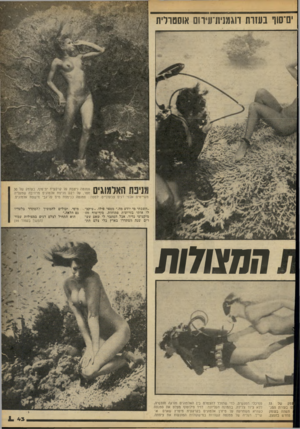 העולם הזה - גליון 2088 - 7 בספטמבר 1977 - עמוד 43 | ים־סוו בעזות חגס״וחויווס אוסטרלית רזי , 1 11ן| 11111141 *111 סמנטה ניצבת על קרקעית ים־סוף, בעומק של 30 11#1 # 1 1 1 1י 11 מטר, על רקע מניפת אלמוגים מרהיבה