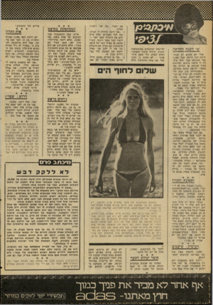 העולם הזה - גליון 2088 - 7 בספטמבר 1977 - עמוד 83 | שי לשנה החדשה :אולי לא 1שמתם לב ישו 0ת־קרבת שנה חדשה, אבל ()1/88 סבר הבחינה בכך. היא שיג רה !לי מראש פיסתב ליפירסום בסוף אוגוסט, או תחילת 0פ־טסבר׳ לקראת השנה