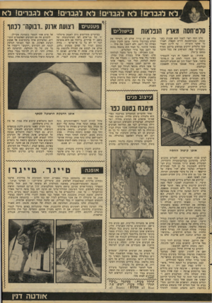העולם הזה - גליון 2092 - 6 באוקטובר 1977 - עמוד 43 | לא לגברים! לא לגברים! לא לגברים! לא לגברים! לא סרט־חסה מארץ הנפלאזת סלט חסה ראוי לשמו הוא אמנות בפני עצמה. טכס־ההכנה דורש הקפדה לאורך כל שלגי היצירה — עד לרגע