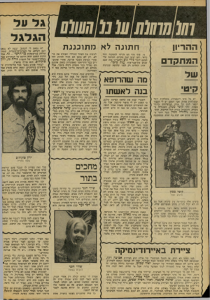 העולם הזה - גליון 2093 - 12 באוקטובר 1977 - עמוד 50 | ההריון הנוגתהד ח תונ ה לא מ תו כננ ת נו, סוף סוף הם הגיעו למסקנה שזה כדאי, והם יעשו זאת בקרוב. הכוונה שלי הפעם לזמר גידי גדג ולחברתו מזה שבע שנים און־אנד־אוף,