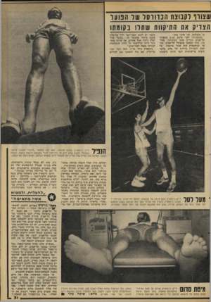 העולם הזה - גליון 2096 - 2 בנובמבר 1977 - עמוד 31 | שצורך לקבוצת הכ ד ורסל של הפועל הצדיק את התיקוות שתלו בקומתו ען הד,צלחה .׳אני אימי כזר״״ מהופעותיו לפני ארבע שינים סהפועל תל־׳אביב זוכרים אותו כצימוזוני. אהוד