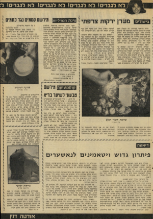 העולם הזה - גליון 2099 - 23 בנובמבר 1977 - עמוד 49 | ד ־ ברב ־ ירקות הילד הראשי בסידרה (זה הבעל) ׳תפס סטוץ על ׳מעדן הירקות הצרפתי ישל כותבת שורות אלו, וכבר שבועיים הוא מסרב בתוקף אפילו לשימוע על תחליפים כלשהם.