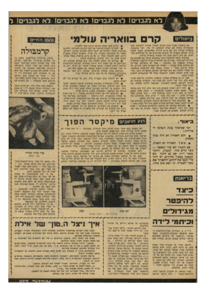 העולם הזה - גליון 2100 - 30 בנובמבר 1977 - עמוד 41 | /לא לגברים! לא לגברים! לא לגברים! לא לגברים! ל קר בוואריה ע ולמי אף מיסעדה בארץ אינה מעיזה לפתוח שעריה ללקוחות לפני שהצטיירה בחוזה עם חברה המספקת לה טרי, ישר