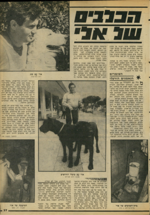 העולם הזה - גליון 2107 - 18 בינואר 1978 - עמוד 37 | שאחרי שלקחתי אותו ישנתי 26 שעות רצופות, וכמה ימים אחר־כך בקושי עמד תי על הרגליים. צעקתי יעל הרופא. למה אני צריך להיות שפן־הניסיונות שלוי שמעתי שיש עכשיו תרופות