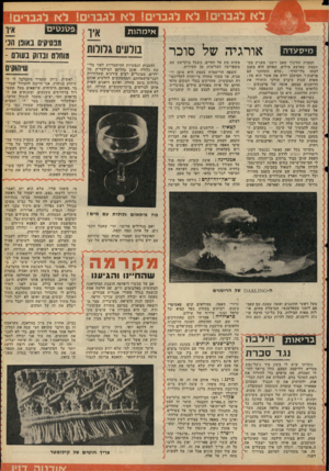 העולם הזה - גליון 2111 - 15 בפברואר 1977 - עמוד 59 | ם! לא לגברים! לא לגברים! לא לגברים! א>מהות מיסעדה אורגיה של סוכר תמצית החינוך שאב רומני מעניק מס תכמת בארבע מילים, שאותן הוא משנן לבתו בלי־הרף :״שלא תתחתני עם
