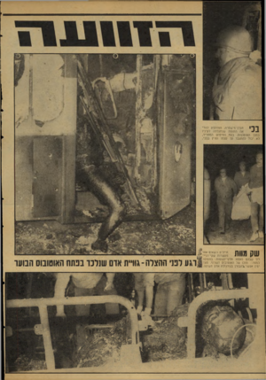 העולם הזה - גליון 2115 - 15 במרץ 1978 - עמוד 24 | צ מו • דדי חבלן־מישטרה, המזועזע למר־אה התופת שנתגלתה לעיניו בתוך האוטובוס, בעת החיפוש המחריד, לא יכול להתגבר על עצמו ופרץ בבכי. שק מוות חיילים נושאים אחז־^