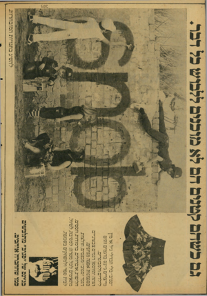 העולם הזה - גליון 2123 - 10 במאי 1978 - עמוד 59 | ניטל ״סבוב״ בלי הבדלי גיל או מין מייצרים ג׳יבס בדגמים זהים לילדים ולמבוגרים. ועתה יתווספו דגמים צבעוניים בסגנונות אפנה מגוונים. דגמי ז׳סבוב״ מכבסים, חולצות,
