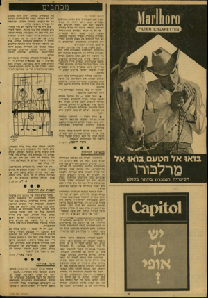 העולם הזה - גליון 2123 - 10 במאי 1978 - עמוד 8 | מכתבים (המשך מעמוד )6 לבנון ואת תוצאותיה כרע הכרחי. הכתבים הצבאיים כמעט ולא דיווחו על ההרס, וכשעשו זאת דאגו תמיד להדגיש את השיקום הנפלא, מעשה ידי צה״ל באיזור.