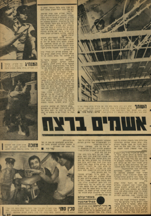 העולם הזה - גליון 2124 - 17 במאי 1978 - עמוד 38 | יצחק קיש (זג) ,שישב בתא אחד עם אלקיים בכלא שאטה ועל־פי קביעת השופטים היה שותף לכל מהלך תיכנון רצח האסיר יפת נגר. יצחק קיש הצנום, בעל מיבנה־הגוף העדין והידיים