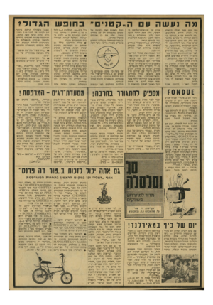 העולם הזה - גליון 2131 - 5 ביולי 1978 - עמוד 43 | מהנעשהעה״קטני״ מדי קיץ צפה ועולה השאלה ע״י זוגות הורים מתלבטים. ״מה לעשות עם ה״קטנים״ בחופש הגדול ז מי שאינם מתלבטים כלל, הם אותם הורים שבשנים עברו נהגו לשלוח